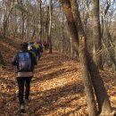 권능교회 이미지