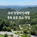 충북 당일치기 여행코스 맛집 (솔향공원 스카이 바이크, 말티재 전망대, 삼년산성, 수생식물학습원)