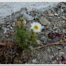 대보 초등학교 이미지