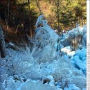 금원산 자연휴양림 이미지