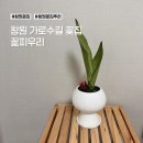 버스정류장 07-278 | 창원가로수길꽃집 꽃피우리 24시간 방문할 수 있는 무인 꽃가게