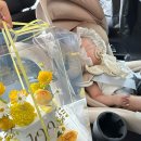 윤희플라워
