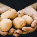 부리농협 협동조합 이미지