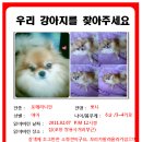 쌍용사거리 이미지