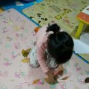 와니유니