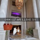 트리니티커피팩토리전 | 신세계 남산 토요콘서트 후기｜신세계 VIP 혜택으로 다녀온 트리니티홀