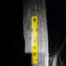 삼기면 수산2구 마을회관 | 모후지맥1(차일봉-운월재)