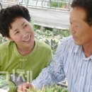 유일농장 이미지