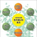 천연염색퀸즈헤나 이미지
