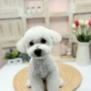 더 귀엽개 이미지