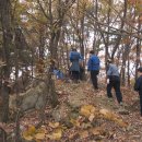 정오농장 이미지