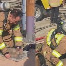 지곡119안전센터 이미지