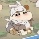 지피크루 | [코리안 드림 크루] 지원서&amp;면접 후기