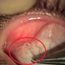 차지우동물병원 이미지