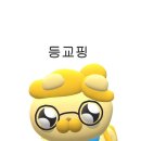 녹즙세연의 여름