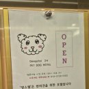 댕스텔 네이버블로그