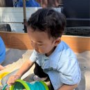 샬롬유치원 이미지