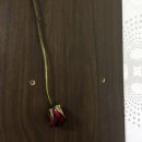 서남시장 이미지