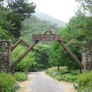 불정자연휴양림 이미지