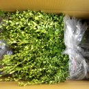 (주)삼엽 이미지