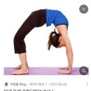 경인옛로22번길 | 11월 셋