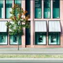 새희망 동물약국 이미지