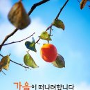 색소폰(초급반) 이미지