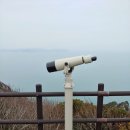 홍도유통 네이버블로그