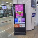 릴리성형외과의원 이미지