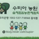 수피아민박 이미지
