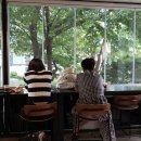 피리어드(period) | “성수 서울숲 비오는 날 카페 추천 | 피리어드 에그타르트 & 초록뷰 통창 솔직 후기”