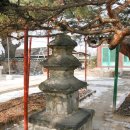 소나무약국 이미지