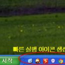 바탕 이미지