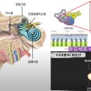 어지럼증 해소방법 안내 이미지