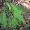 논현13단지푸르네마을 이미지