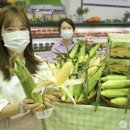 초당유통