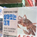 주니마트 이미지