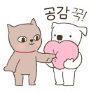 치킨에미치닭 - 강릉시 노가니길 10 | 치킨에미치닭