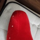 극동크리닝 이미지