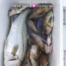 익투스 이미지