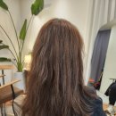 살롱시아(SIA SALON) | 광명사거리 미용실, 살롱드봉 뿌염+ 두피케어 후기