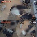 애견미용실 이미지