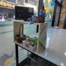 [후기] 셀프 빨래방 운동화 세탁 건조기｜워시엔조이 인천동춘｜코인 세탁소 가격 비용 요금