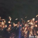 포항불빛축제 이미지