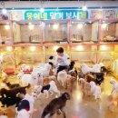 몽이네 맡겨보시개 이미지