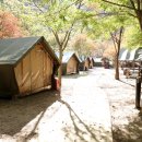 소백산국립공원 남천야영장 이미지