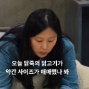 서바이오 이미지