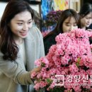 서초구청 이미지