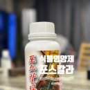 칼라 | 식물영양제 고민이라면, 포스칼라 이연테크 실사용 후기