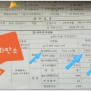 포니카센타 이미지